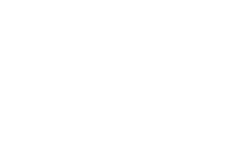 DDC Fencing and Maintenance logo